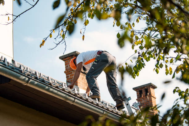 Best Gutter Installation and Repair  in Newton, IA