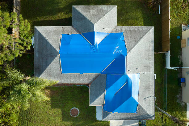 Best Roof Moss and Algae Removal  in Newton, IA