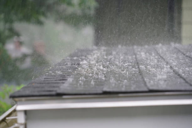 Best Asphalt Shingles Roofing  in Newton, IA
