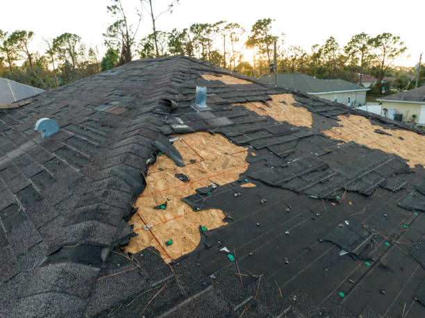 Best Gutter Installation and Repair  in Newton, IA