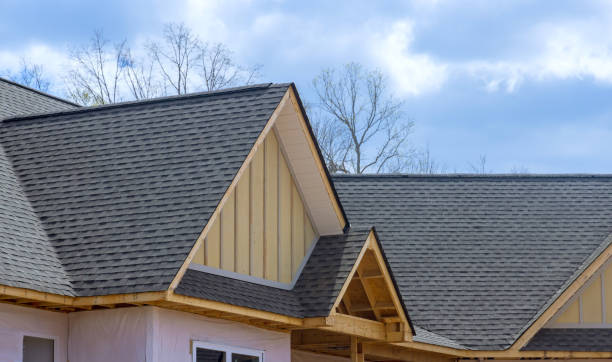 Best Chimney Flashing Repair  in Newton, IA