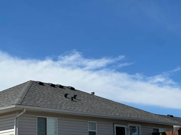Best Green or Eco-Friendly Roofing Solutions  in Newton, IA